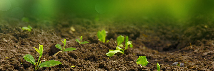 固體廢物、土壤和沉積物